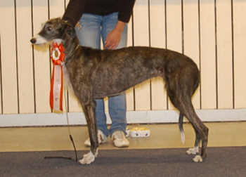 ägare: Eva-Mari Lindström, Sjulsmark