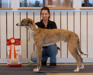 ägare: Eva-Mari Lindström, Sjulsmark