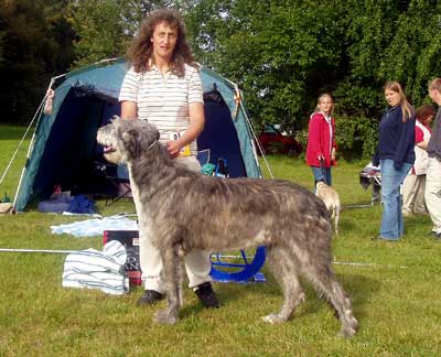 Ägare och uppfödare: Susanne Rönnberg, Ånäset