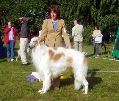 Ägare: Jeanette Eriksson, Bureå