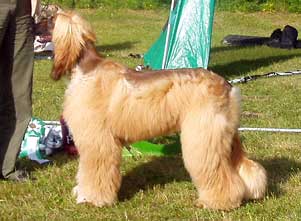 Ägare: Eva Backman, Annika & Urban Jonsson, Kvissleby