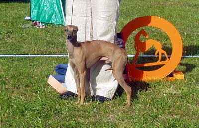 Ägare: Maria Claesson, Umeå