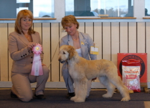 Ägare: Ingrid Moholm, Roknäs