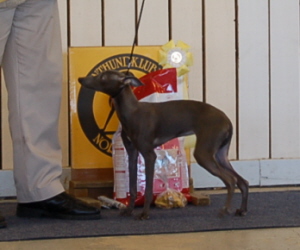 Ägare: Kurt-Lennart Pettersson, Piteå