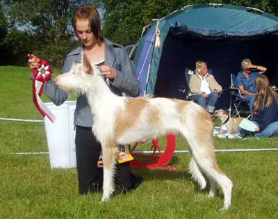 Ägare: Karolin Lundmark, Roknäs
