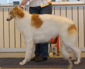 Ägare Katarina Lundberg-Tuoma