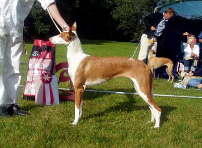 Ägare: Kalle Mårtensson, Bergsjö