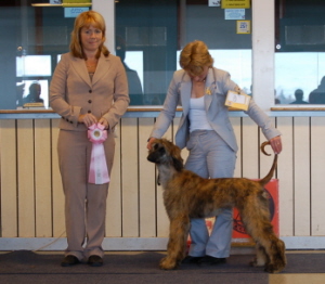 Ägare: Ingrid Moholm, Roknäs