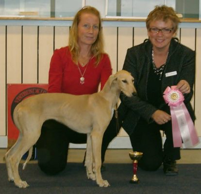 Ägare Carina Pettersson, Bullmark