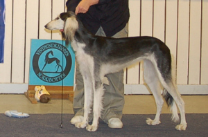 Ägare: Eeva Olkinuora, Skelleftehamn