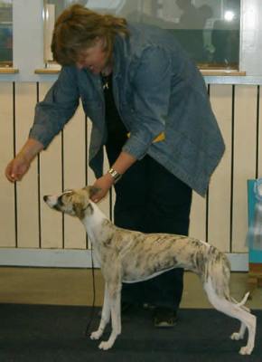 uppf & Ägare Sofia Sandström, Byske