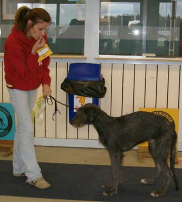 Ägare Gunilla Andersson, Gammelstad