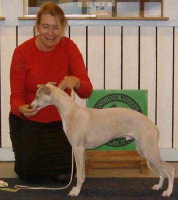 Ägare Viktor Thawelin, Hörnefors