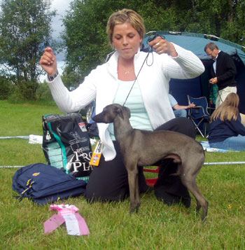 Ägare: Teres Larsson, Umeå