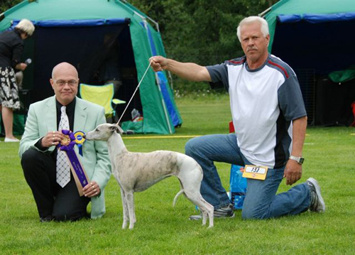 BIS VETERAN Whippet INT UCH NORD UCH NV-02,-05 Paper Moon's Parisian Maiden