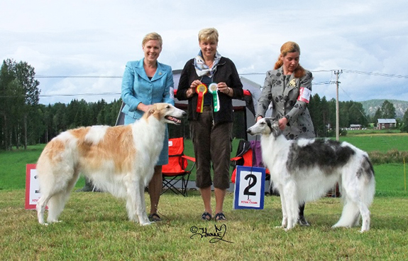 Bjurholm 10/8 2013