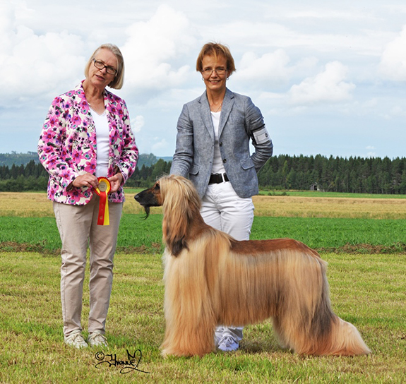Bjurholm 10/8 2013