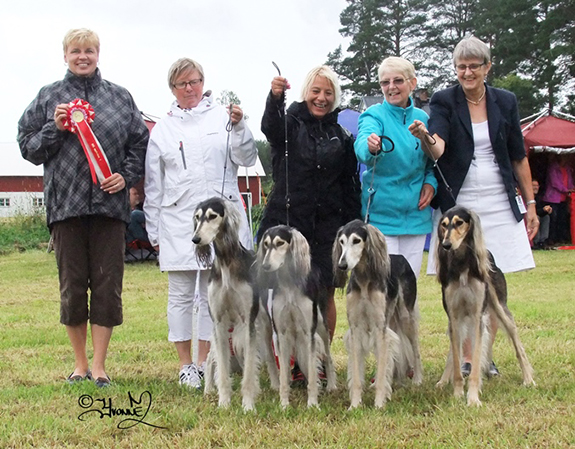 BIS-2 UPPFÖDARGRUPP kennel Zadiyads