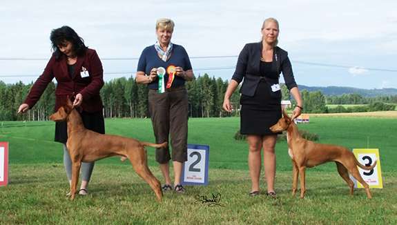 Bjurholm 10/8 2013