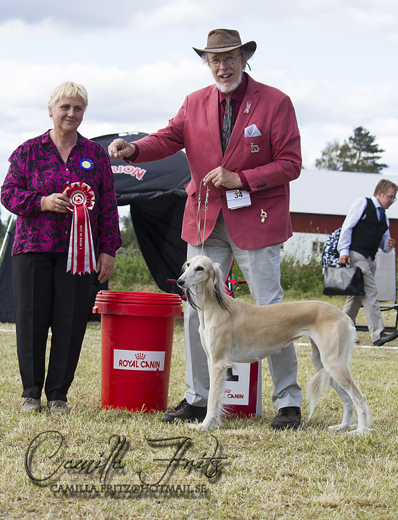 BEST IN SHOW Galeritas Pilosella