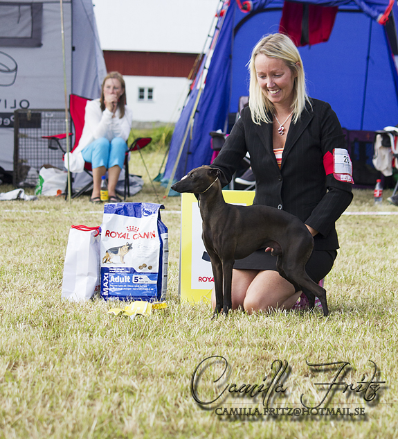 BIS-3 Arceums Nightfall