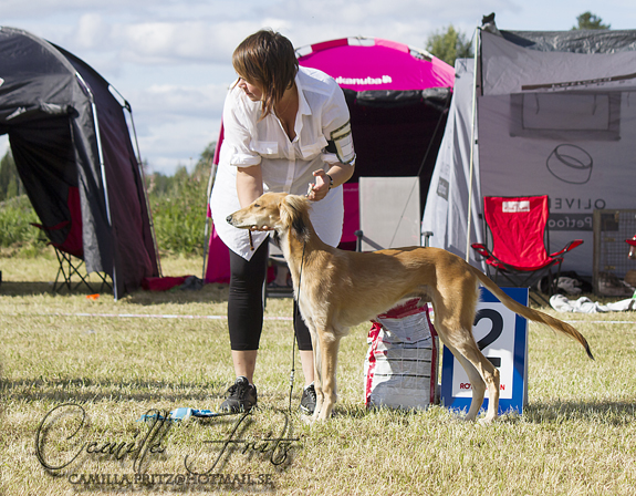 BIS-2 BABYVALP Amiyat Crimson Fury 