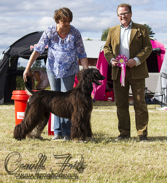 BIS JUNIOR Vindaloo Super U