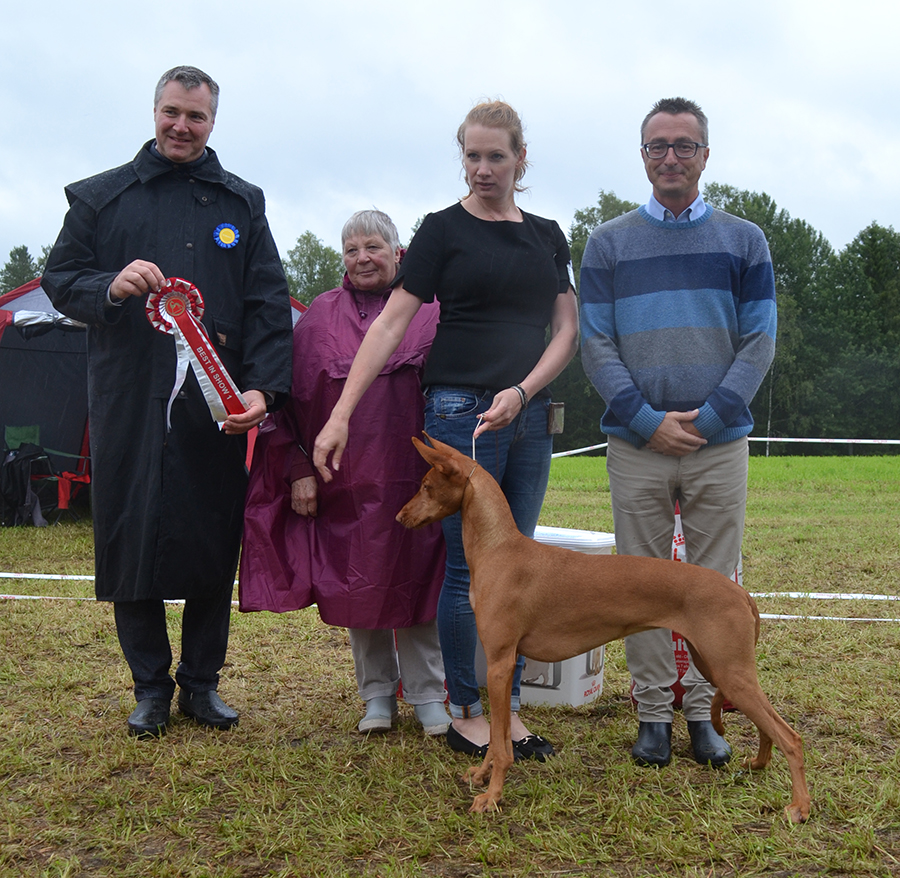 BEST IN SHOW Enigma Sparkling Super Nova