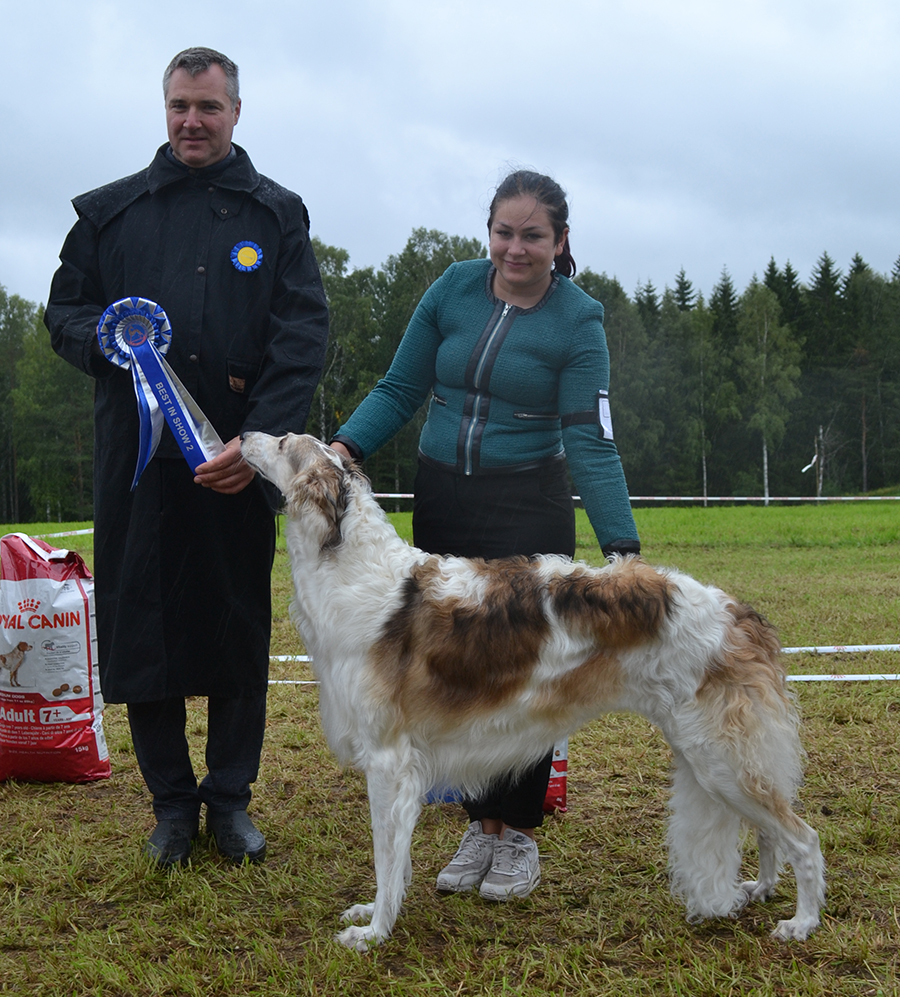 BIS 2 SECH SEV16 Velikij Qalinka