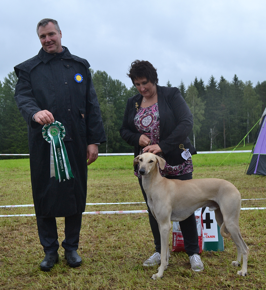 BIS 4 Farraj Ibn Ussamal Nuri al Baida