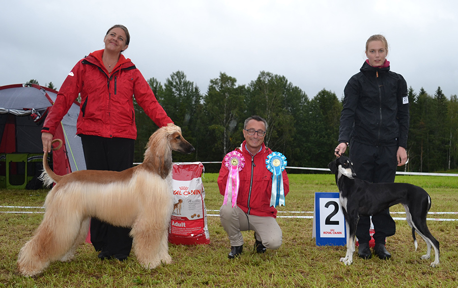 BIS Unghund 1 Oshanameh´s Old Habits Die Hard 