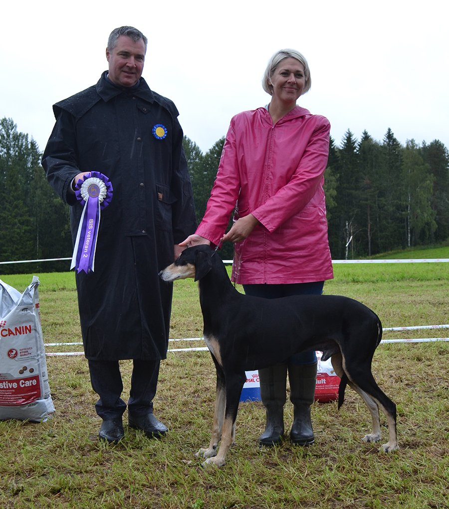 BIS Veteran 2 FICH SECH NOCH Rudan Razeel 