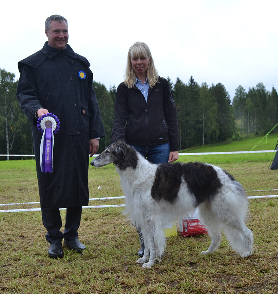 BIS Veteran 3 C.I.B EECH LVCH EstW10 SECH SEVV16 Ulfur Astra 