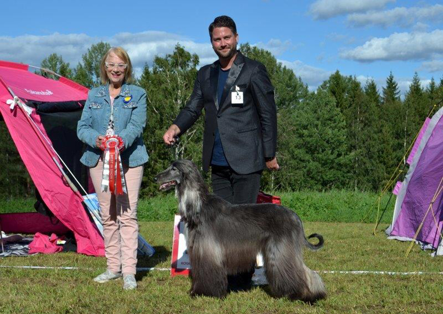 BEST IN SHOW Gold'n Copper Fourfive Seconds