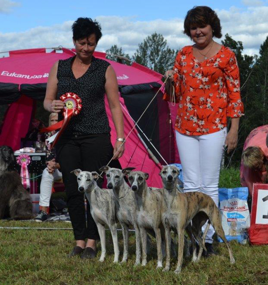 BIS UPPFÖDARE Kennel Carry On