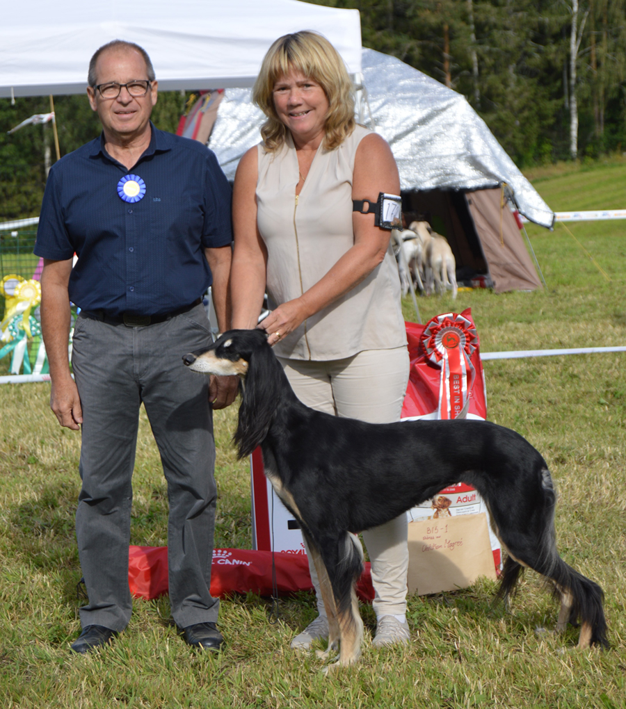 Best In Show RU CH SE VV-17 SE VV-19 SE&NO UCH VWW-17 VWW-18 Badavie Miriel