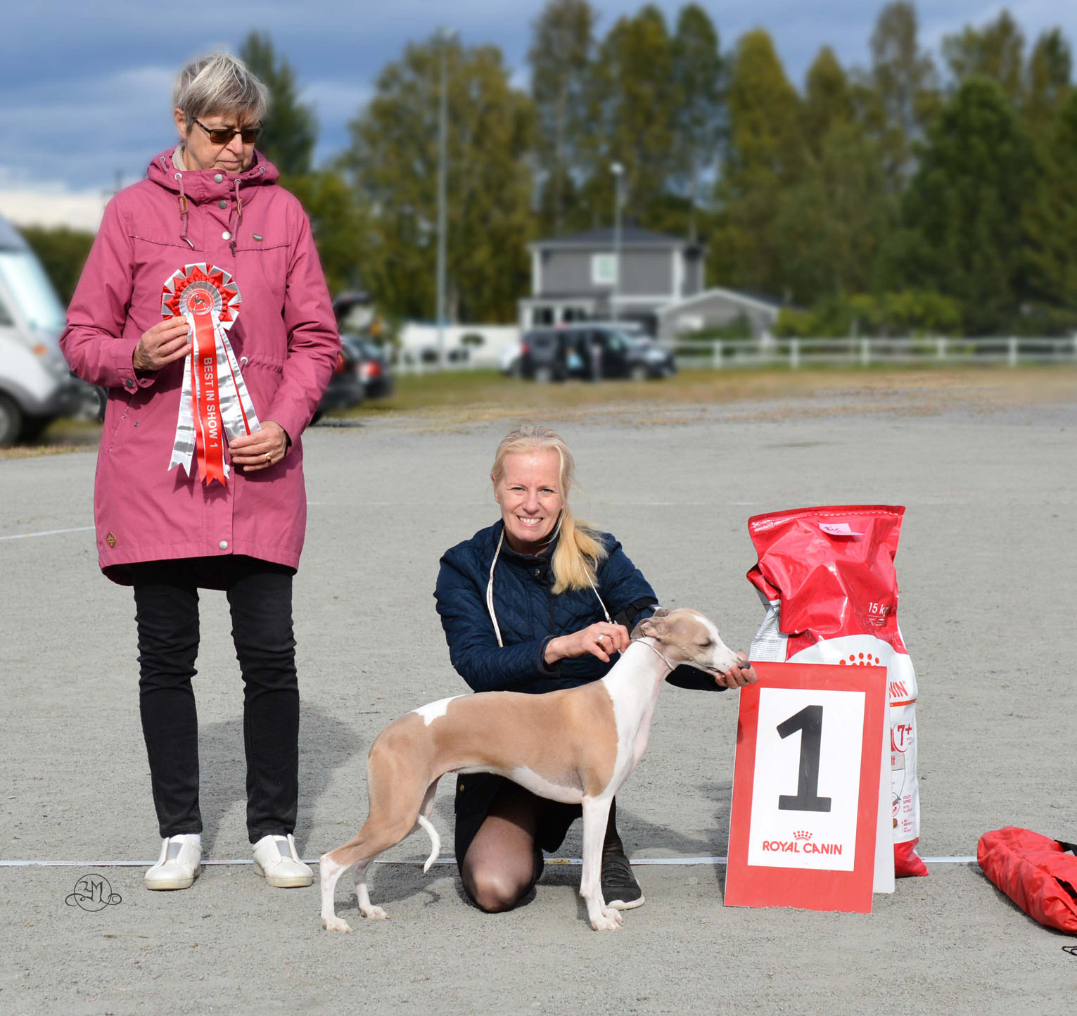 BEST IN SHOW Ch.Aaniston Arrrrr