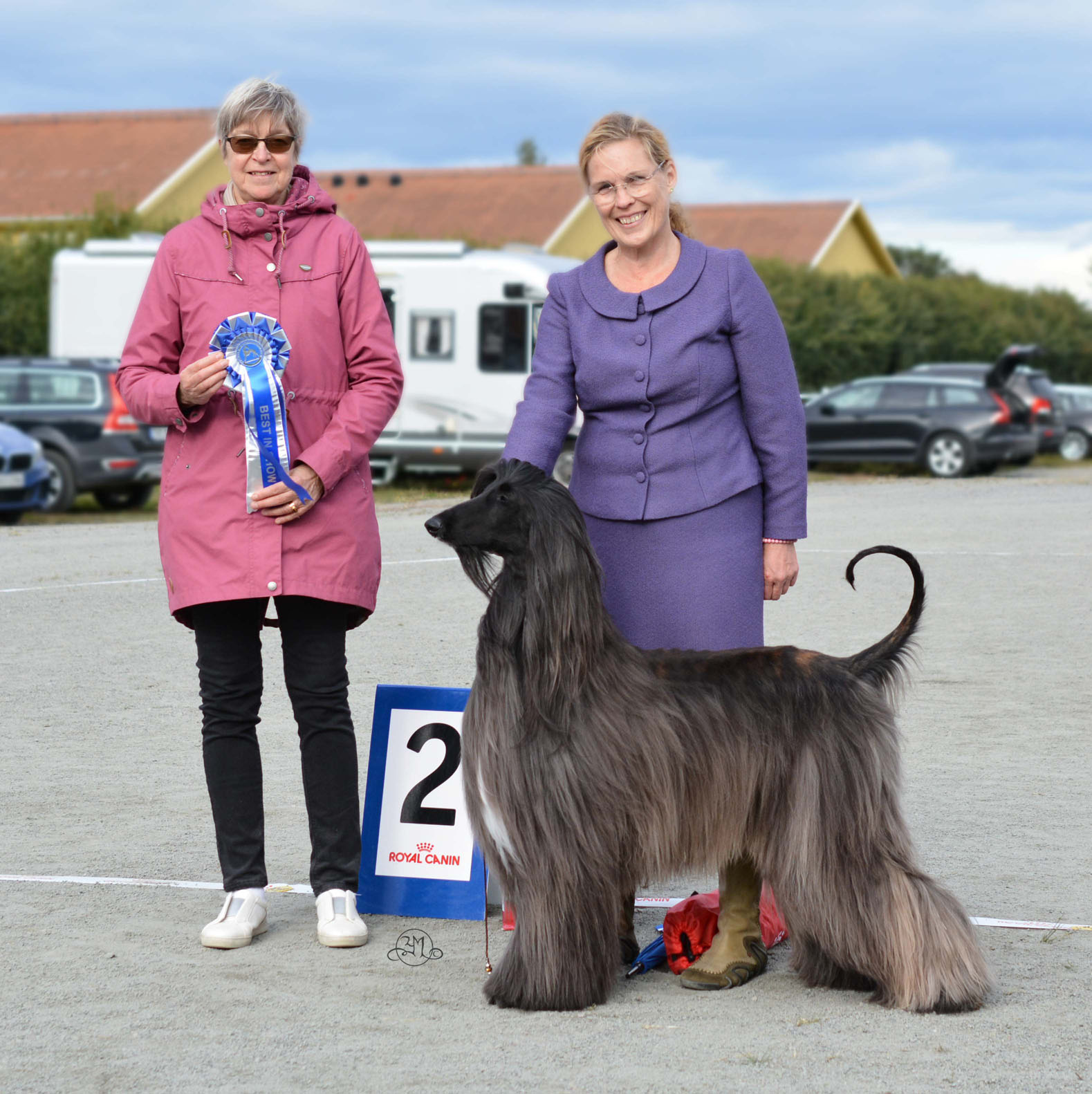 BIS-2 Ch.Xenos Jadesh