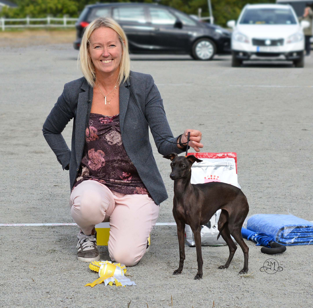 BIS-3 Arceum´s Alexandria