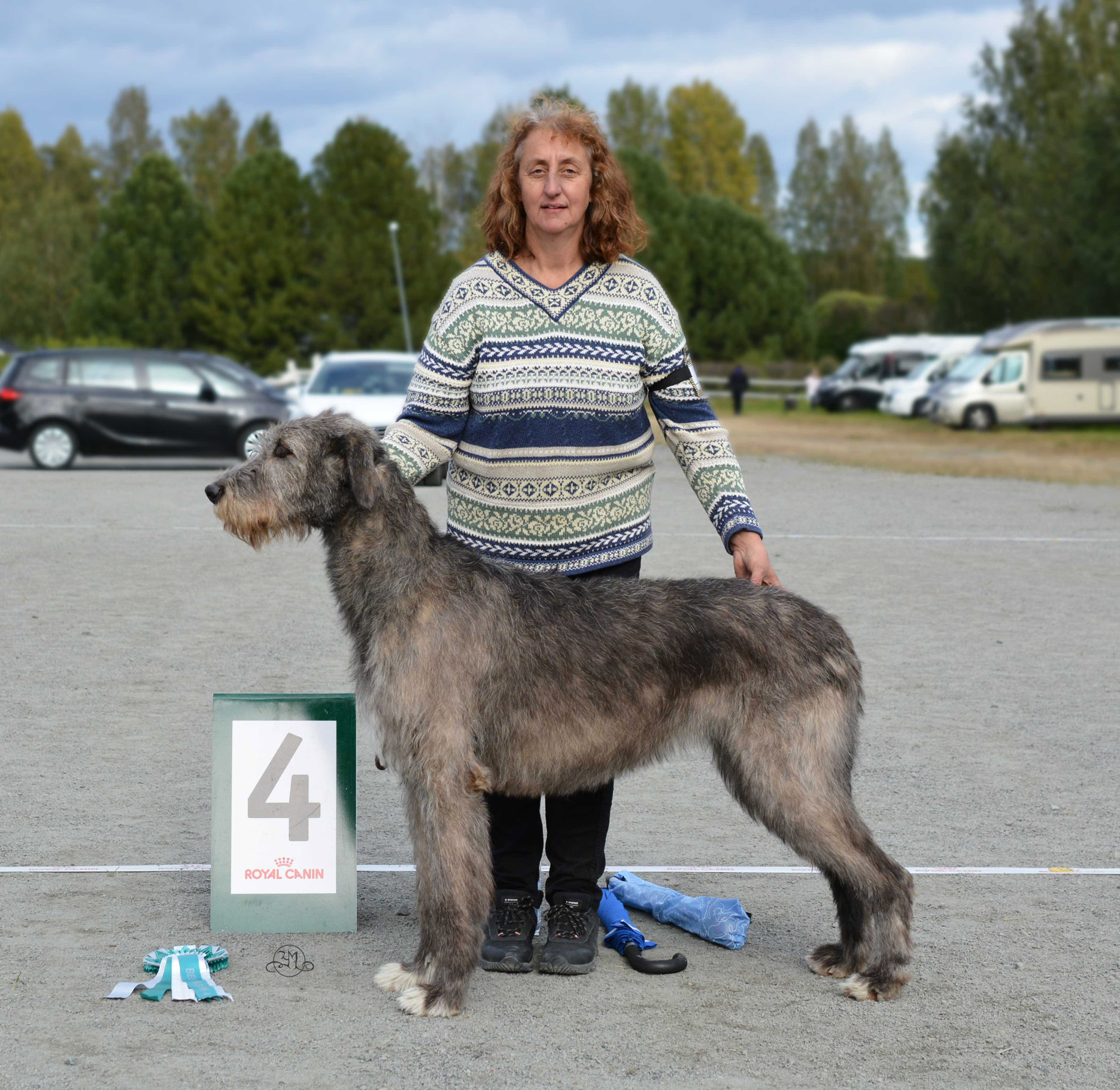 BIS-4 Ch.Riverwolf Goldie O`Gilt