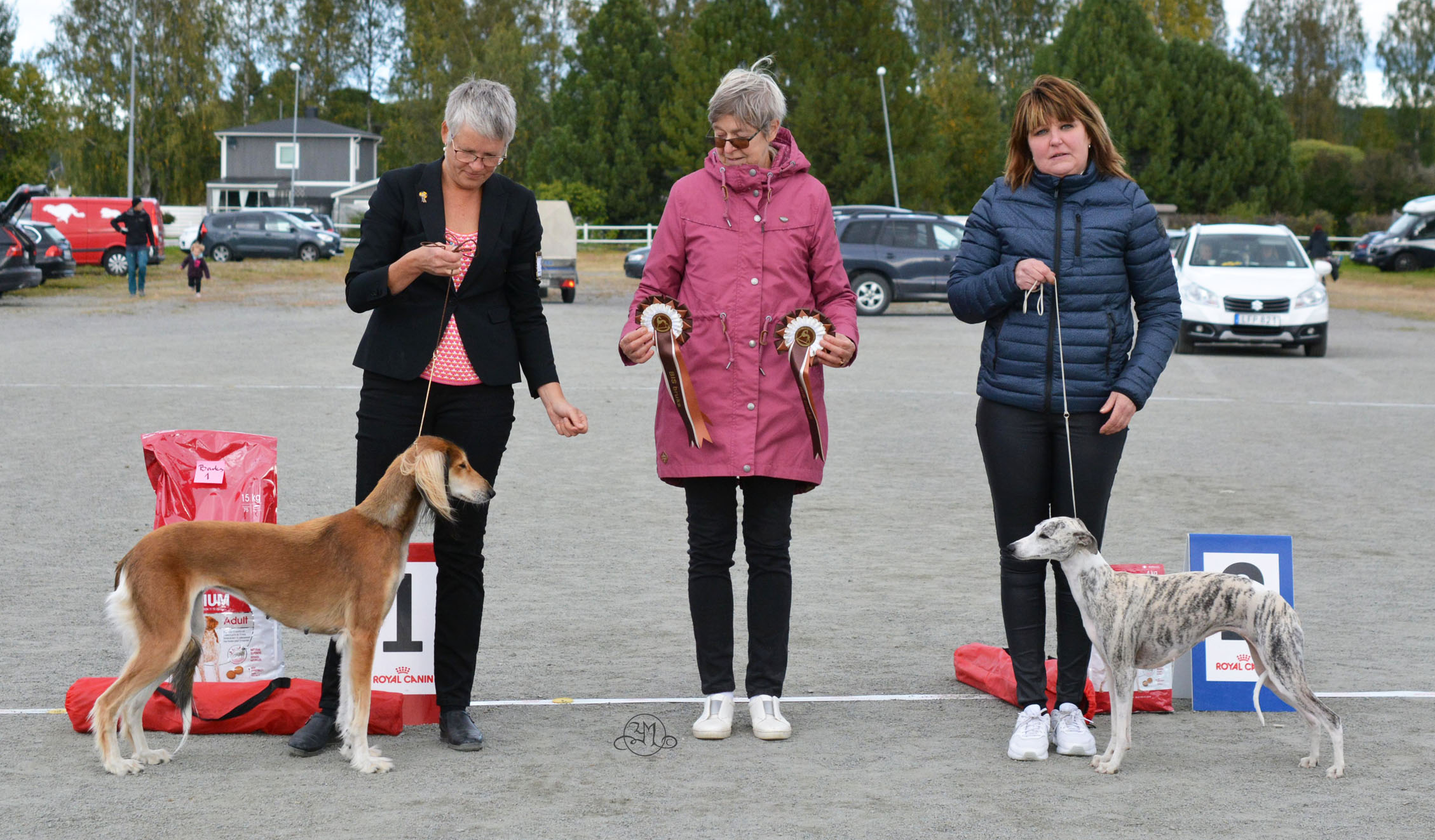 BIS bruks 2 SE LCCh.Carry On Twice Double You