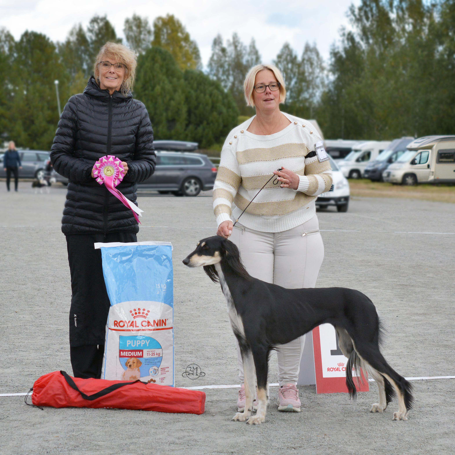 BIS JUNIOR Badavie Great Nothern Star