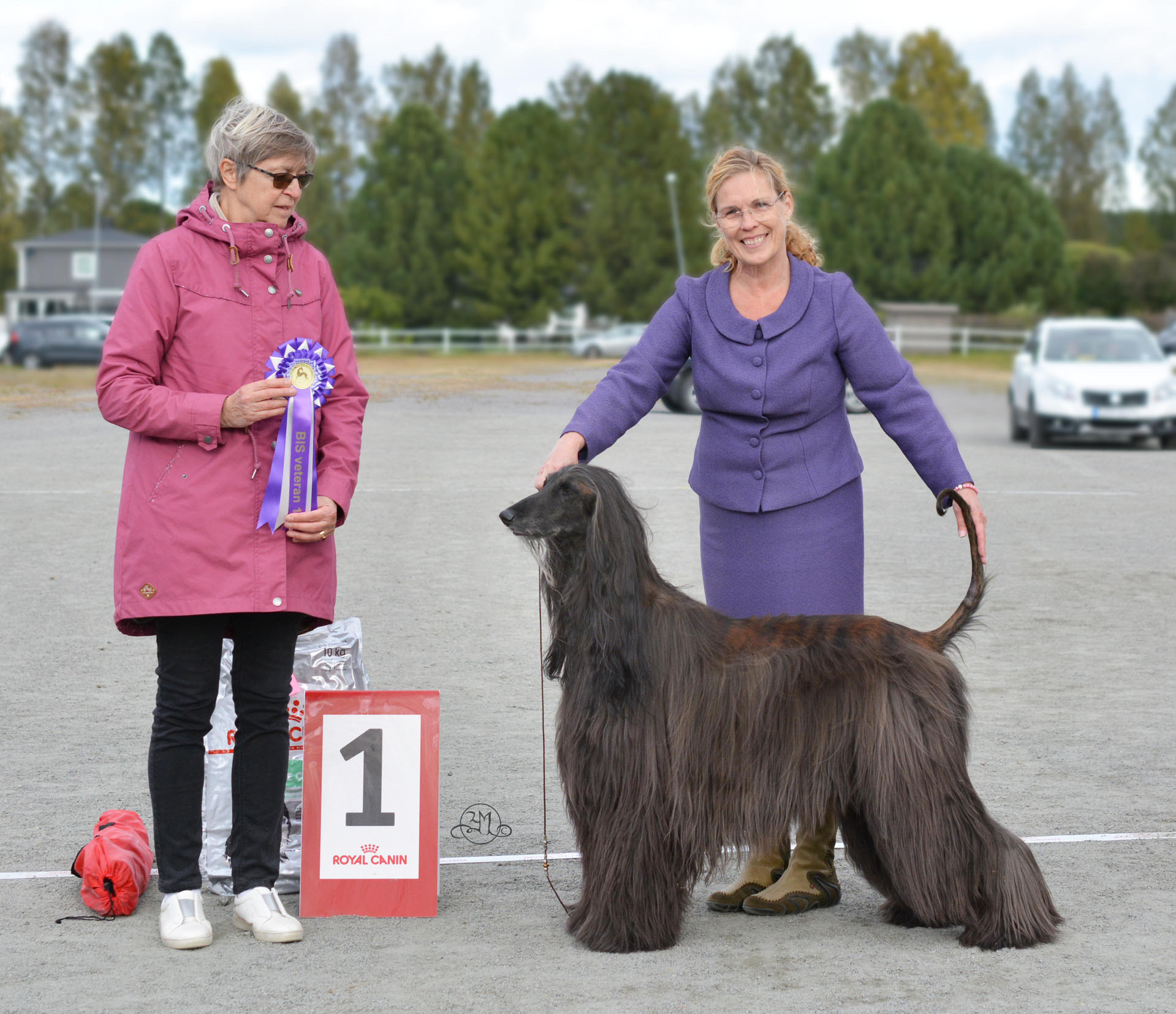 BIS VETERAN Ch.Celestian I Want It All