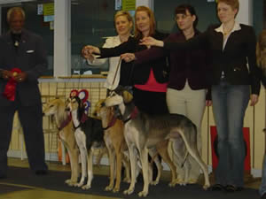 BIS UPPFÖDARGRUPP Kennel Al Wathba