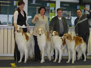 BIS-4 UPPFÖDARGRUPP Kennel Paramour