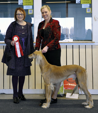 BEST IN SHOW INTUCH NORDUCH DKUCH EEUCH RUCH BaltW-09 Al Wathba Thamir Abdul Haqq