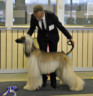 Ägare Jan Törnblom, Upplands-Väsby