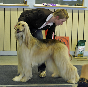 Ägare Jessika Strömberg