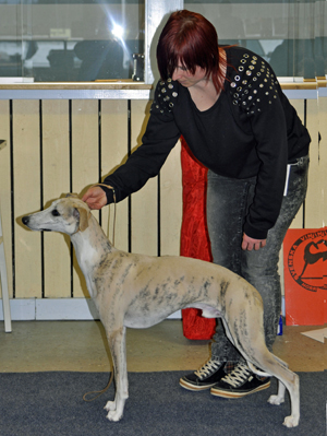 Ägare Anna-Lena Johansson, Umeå