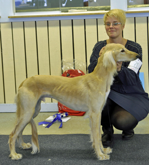 Ägare Linn Olofsson